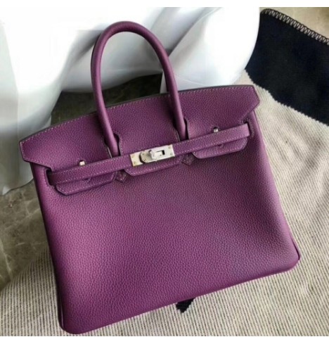 Hermes Birkin Bag 80513A