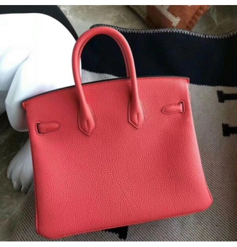 Hermes Birkin Bag 80513A